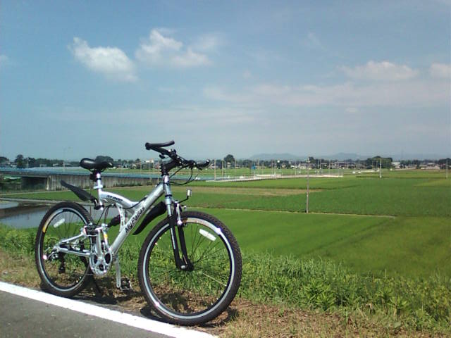 �܂邶��@�܂邶��@����܂���