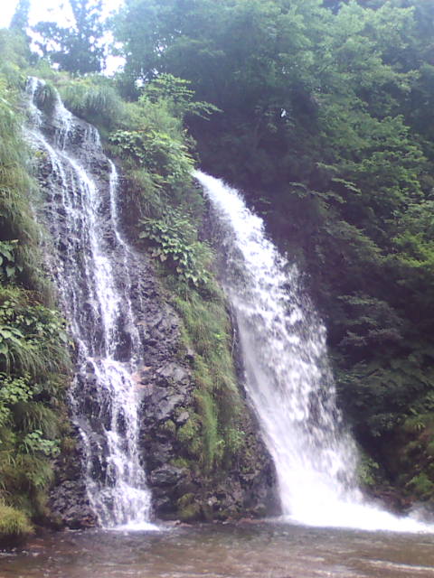 �܂邶��@�܂邶��@����܂���