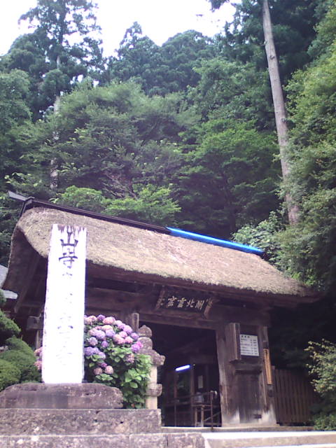 �܂邶��@�܂邶��@����܂���