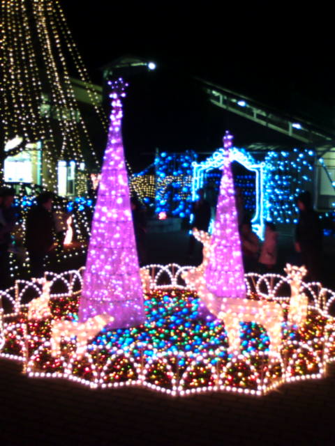 �܂邶��@�܂邶��@����܂���