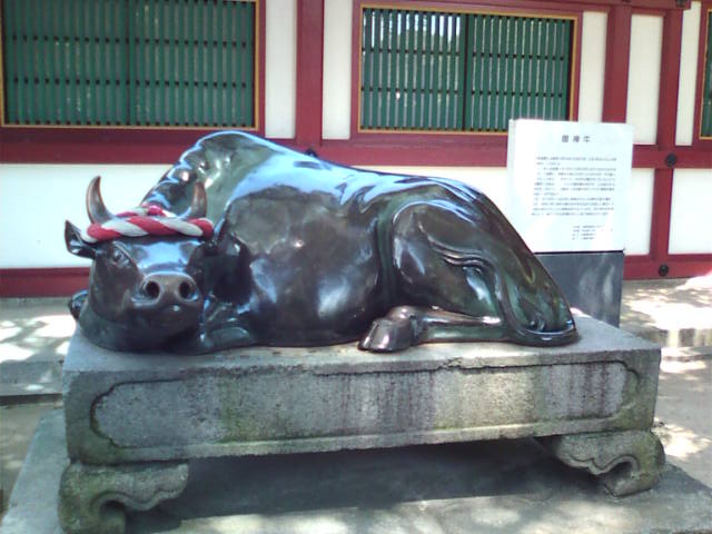 �܂邶��@�܂邶��@����܂���