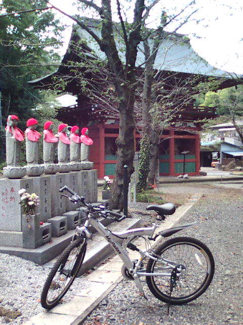 �܂邶��@�܂邶��@����܂���