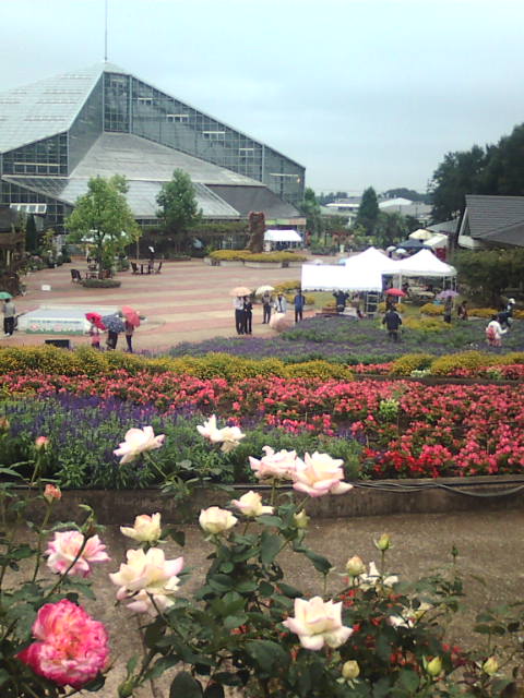 �܂邶��@�܂邶��@����܂���