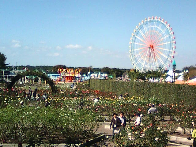 �܂邶��@�܂邶��@����܂���