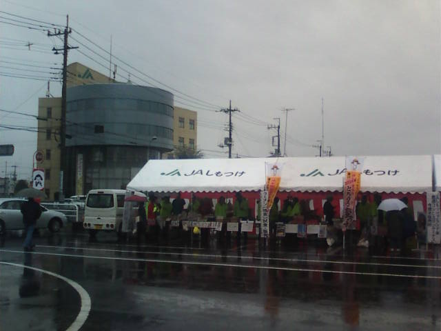 �܂邶��@�܂邶��@����܂���