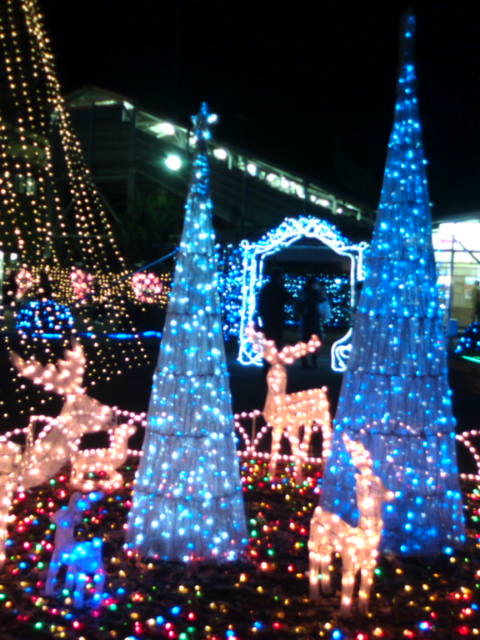 �܂邶��@�܂邶��@����܂���