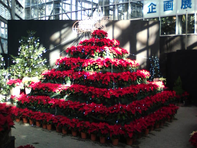 �܂邶��@�܂邶��@����܂���