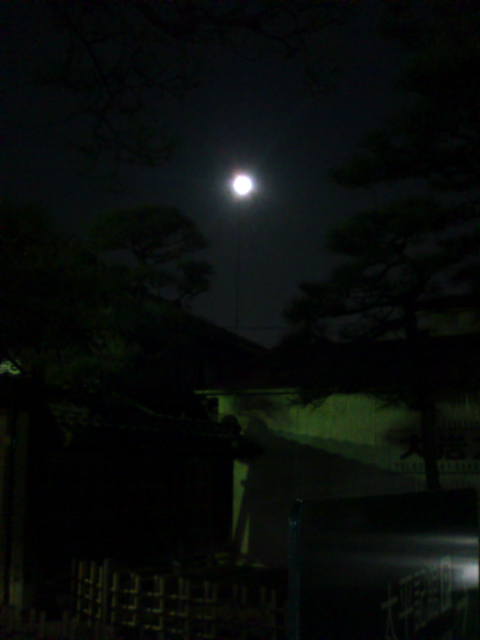 �܂邶��@�܂邶��@����܂���