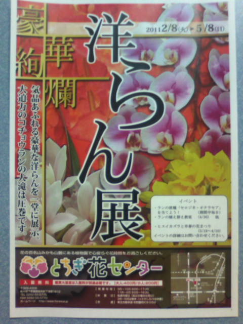 �܂邶��@�܂邶��@����܂���