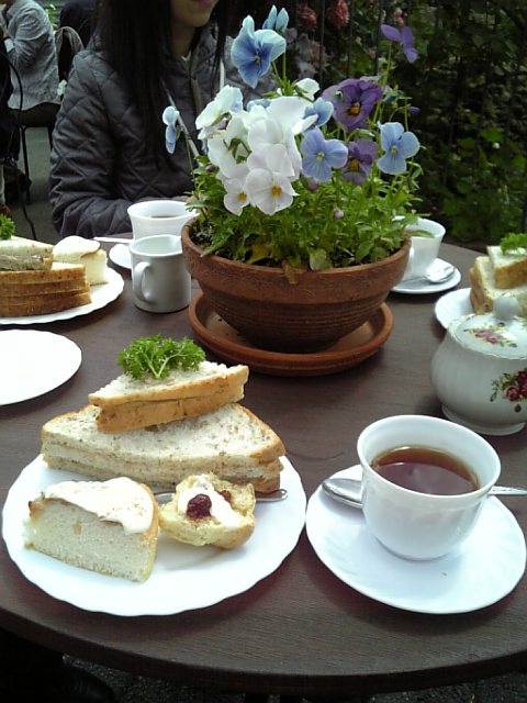 �܂邶��@�܂邶��@����܂���