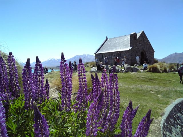 �܂邶��@�܂邶��@����܂���