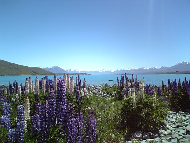 �܂邶��@�܂邶��@����܂���