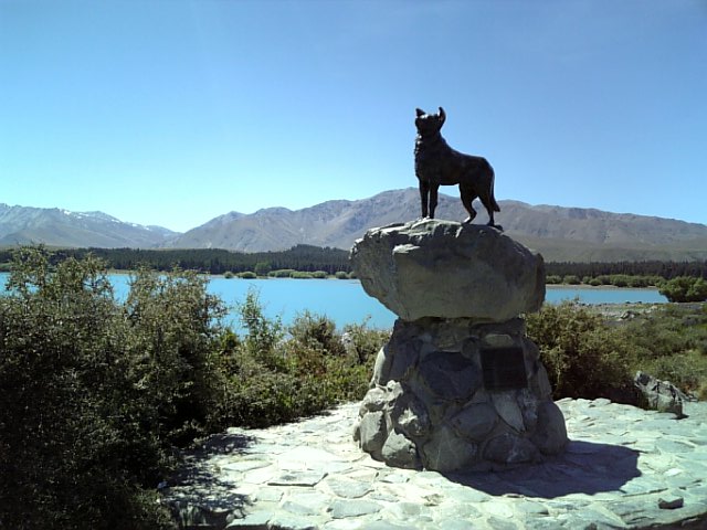 �܂邶��@�܂邶��@����܂���