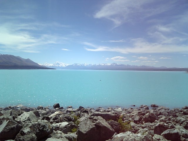 �܂邶��@�܂邶��@����܂���