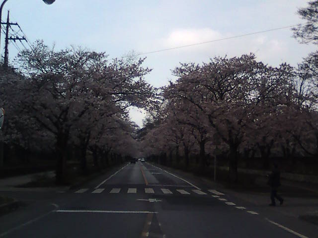 �܂邶��@�܂邶��@����܂���