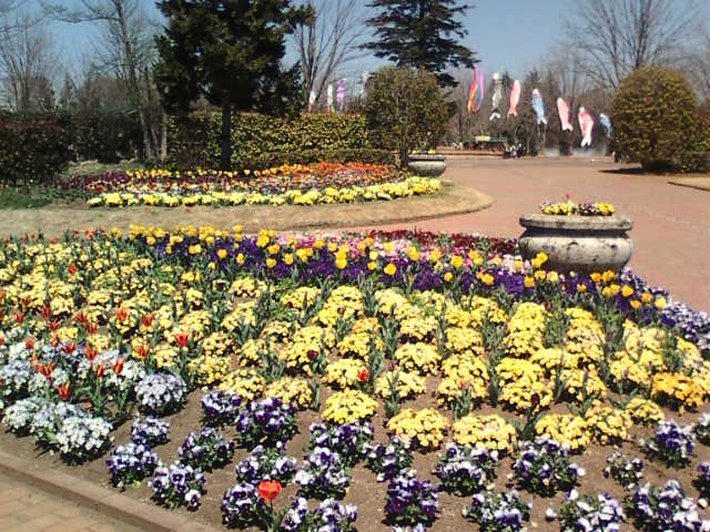 �܂邶��@�܂邶��@����܂���