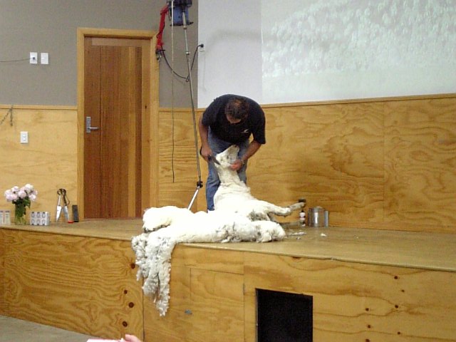 �܂邶��@�܂邶��@����܂���