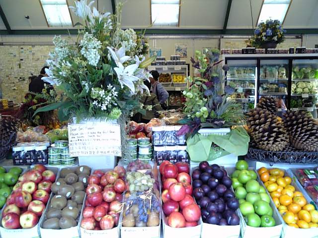 �܂邶��@�܂邶��@����܂���