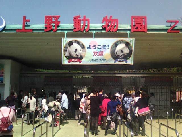 �܂邶��@�܂邶��@����܂���