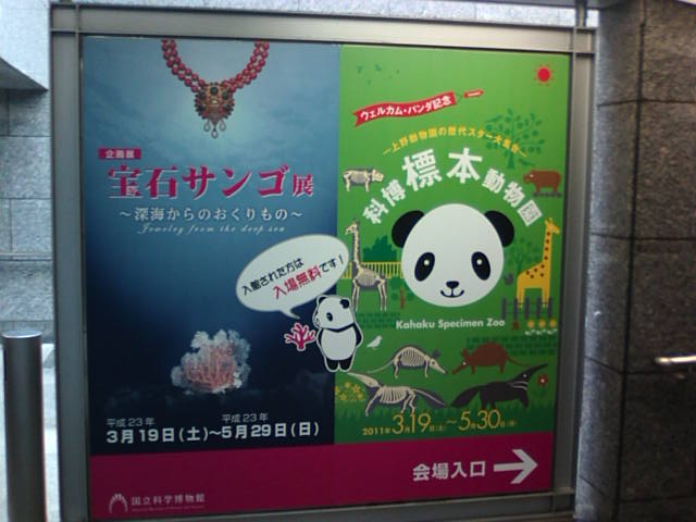 �܂邶��@�܂邶��@����܂���