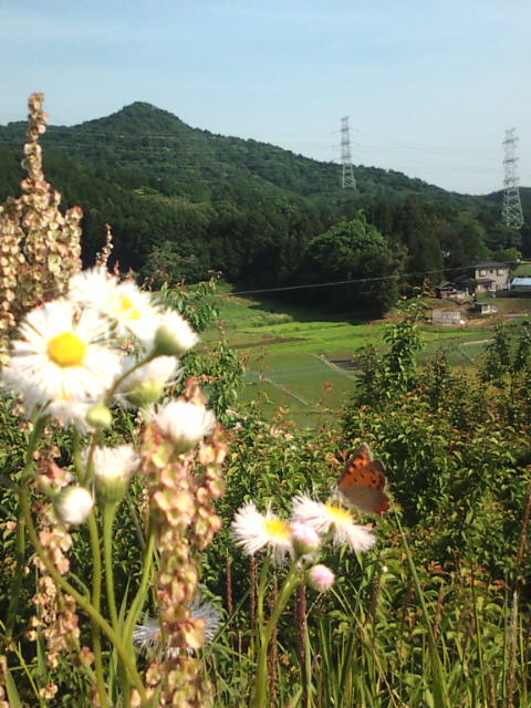 �܂邶��@�܂邶��@����܂���