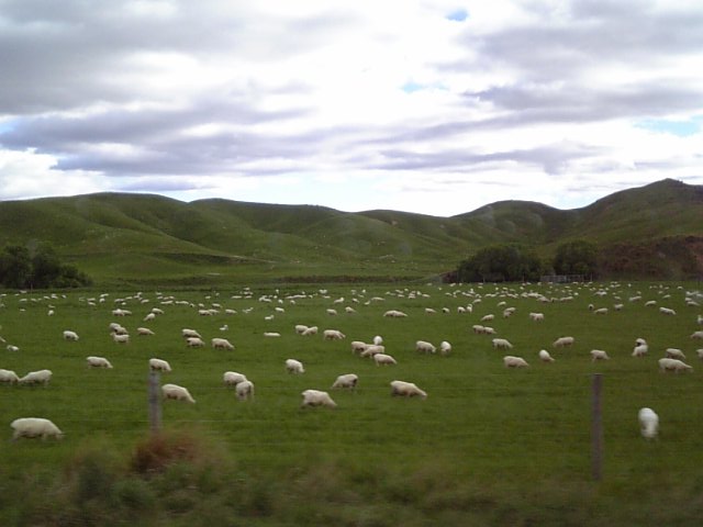 �܂邶��@�܂邶��@����܂���