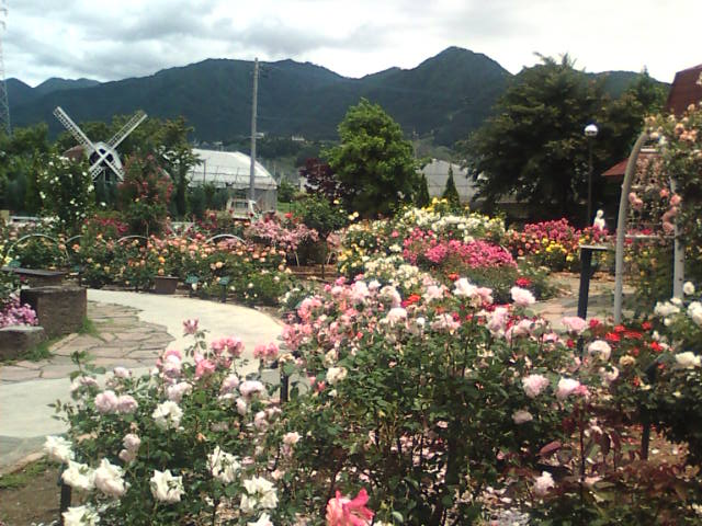 �܂邶��@�܂邶��@����܂���