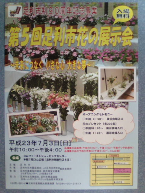 �܂邶��@�܂邶��@����܂���