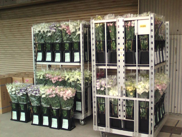 �܂邶��@�܂邶��@����܂���