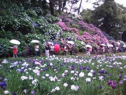 �܂邶��@�܂邶��@����܂���