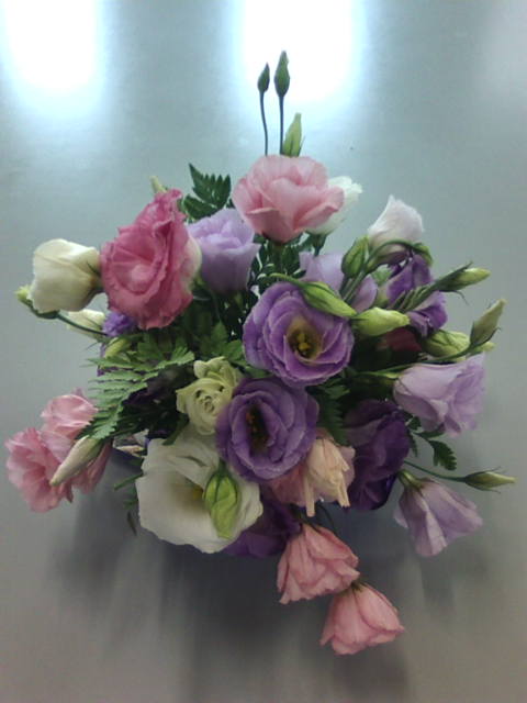 �܂邶��@�܂邶��@����܂���