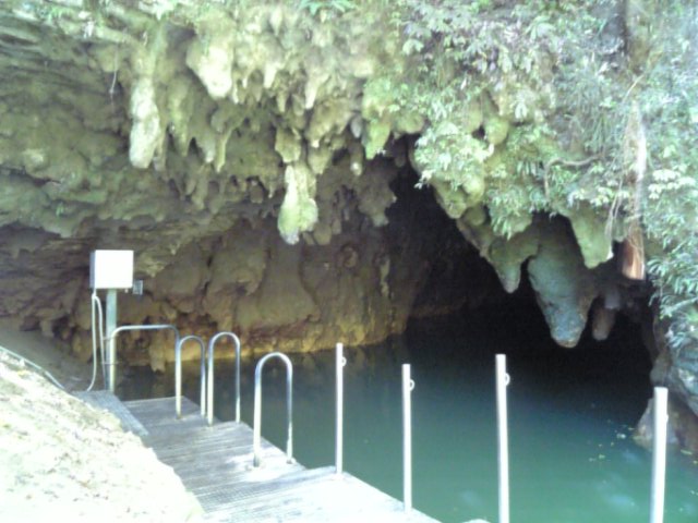 �܂邶��@�܂邶��@����܂���