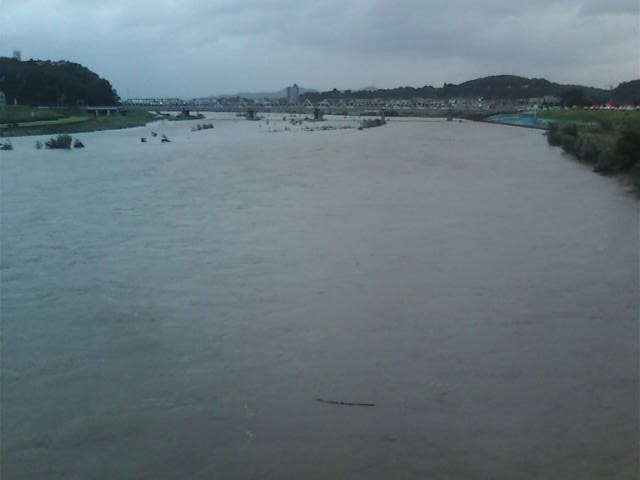 �܂邶��@�܂邶��@����܂���