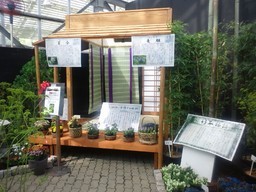 �܂邶��@�܂邶��@����܂���