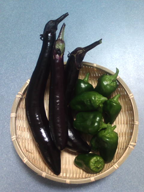 �܂邶��@�܂邶��@����܂���