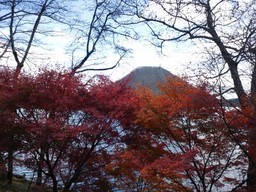 �܂邶��@�܂邶��@����܂���