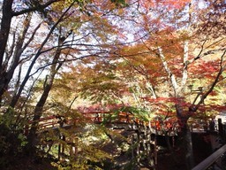 �܂邶��@�܂邶��@����܂���