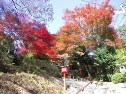 �܂邶��@�܂邶��@����܂���