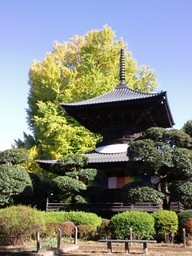 �܂邶��@�܂邶��@����܂���