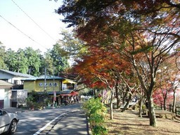 �܂邶��@�܂邶��@����܂���