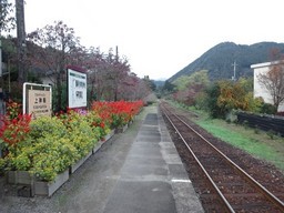 �܂邶��@�܂邶��@����܂���