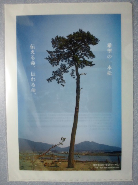 �܂邶��@�܂邶��@����܂���