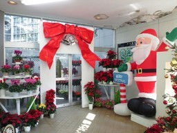 �܂邶��@�܂邶��@����܂���