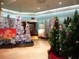 �܂邶��@�܂邶��@����܂���