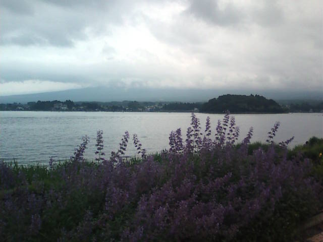 �܂邶��@�܂邶��@����܂���