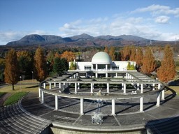 �܂邶��@�܂邶��@����܂���