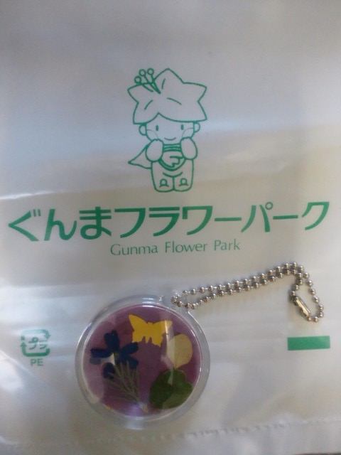 �܂邶��@�܂邶��@����܂���