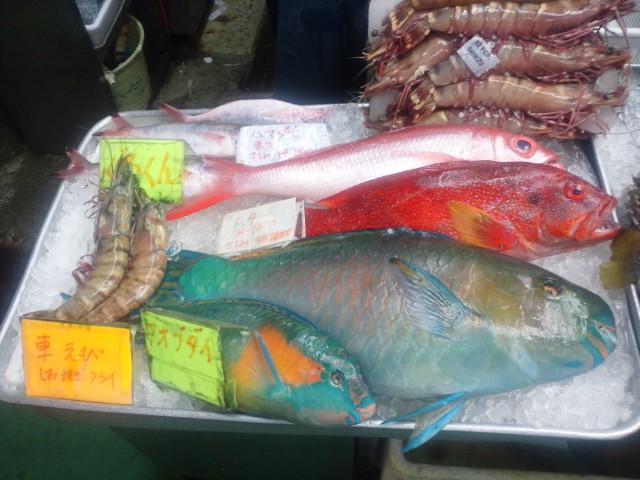 �܂邶��@�܂邶��@����܂���