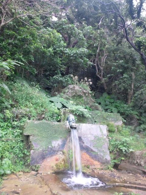 �܂邶��@�܂邶��@����܂���