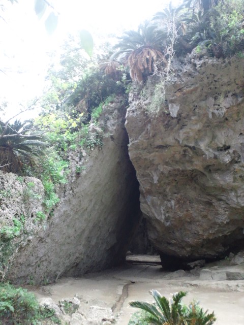 �܂邶��@�܂邶��@����܂���